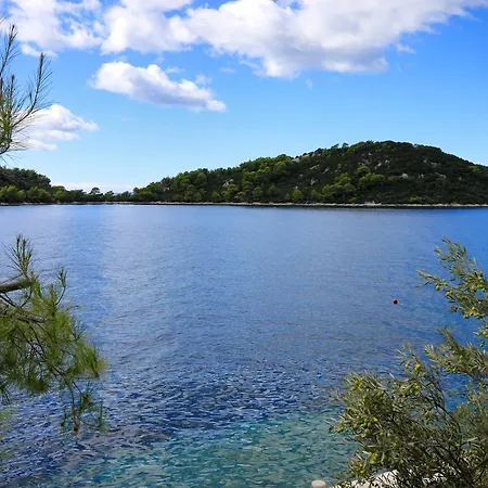 Apartman Studio Karbuni 9308a Blato (Korcula)